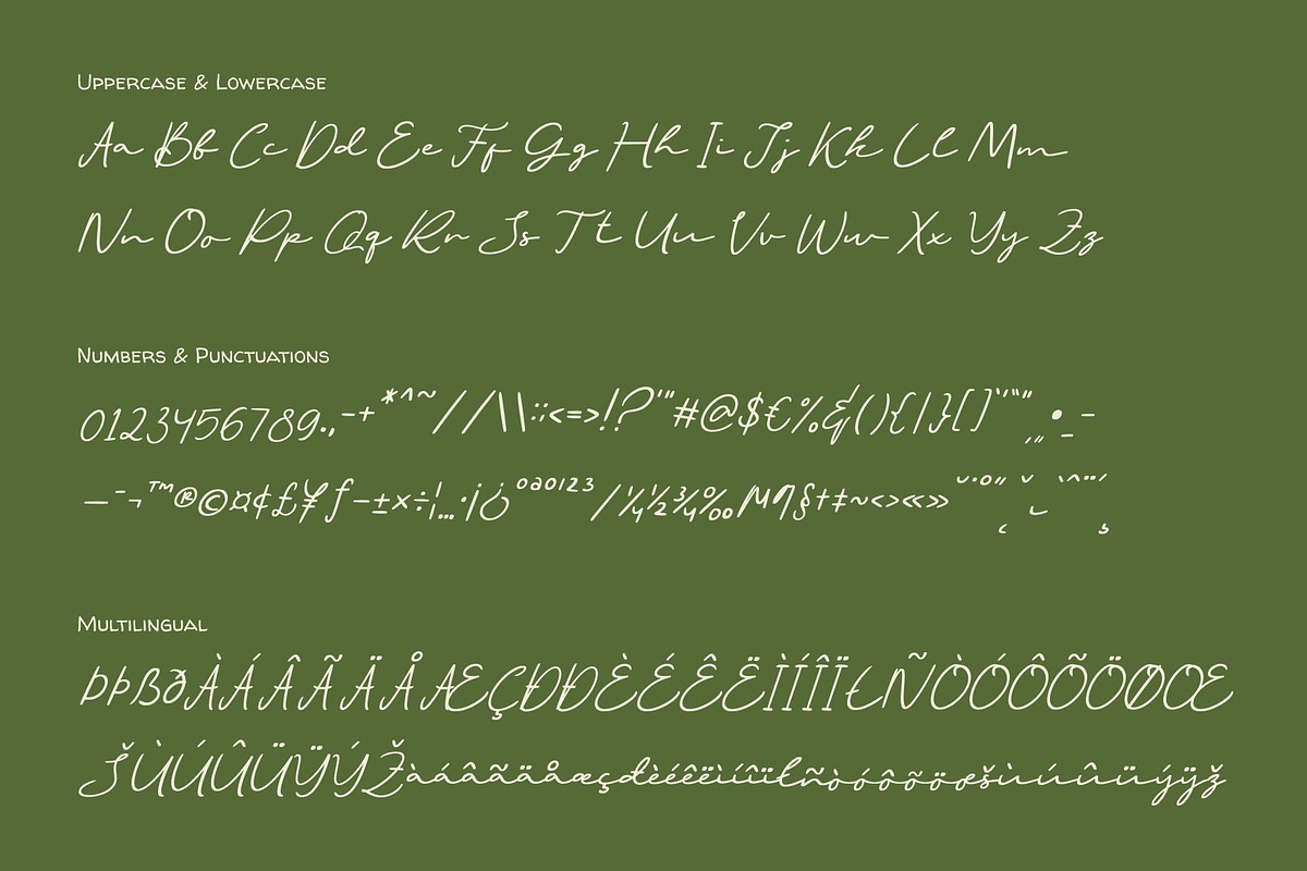 CS Bonjour – Signature Script Font, a Script Font by Craft Supply Co. (Photo 8 of 8)