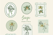 Sage Floral Illustrations, an Object Graphic by whiteheartdesign (Thumbnail 5 of 14)