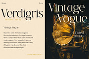 TBJ Black Gold 2-Styles Serif, a Serif Font by Taboja Studio (Thumbnail 10 of 15)