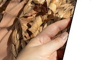 Autumn Device Mockup Phone fall2, an iPhone Mockup by PawMockups (Thumbnail 4 of 10)
