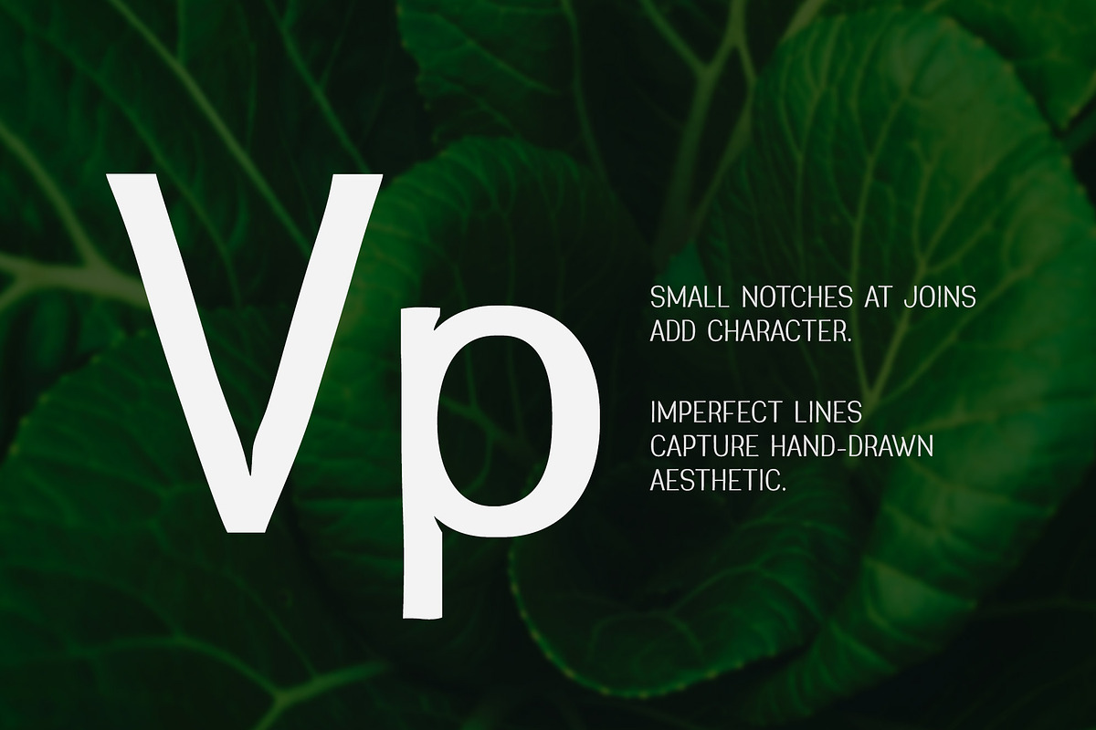 Greenstyle Great Vibes Casual Font preview 2
