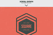 MASSIVE BUNDLE 576 Vintage Logos, a Branding & Logo Template by Design District (Thumbnail 7 of 14)