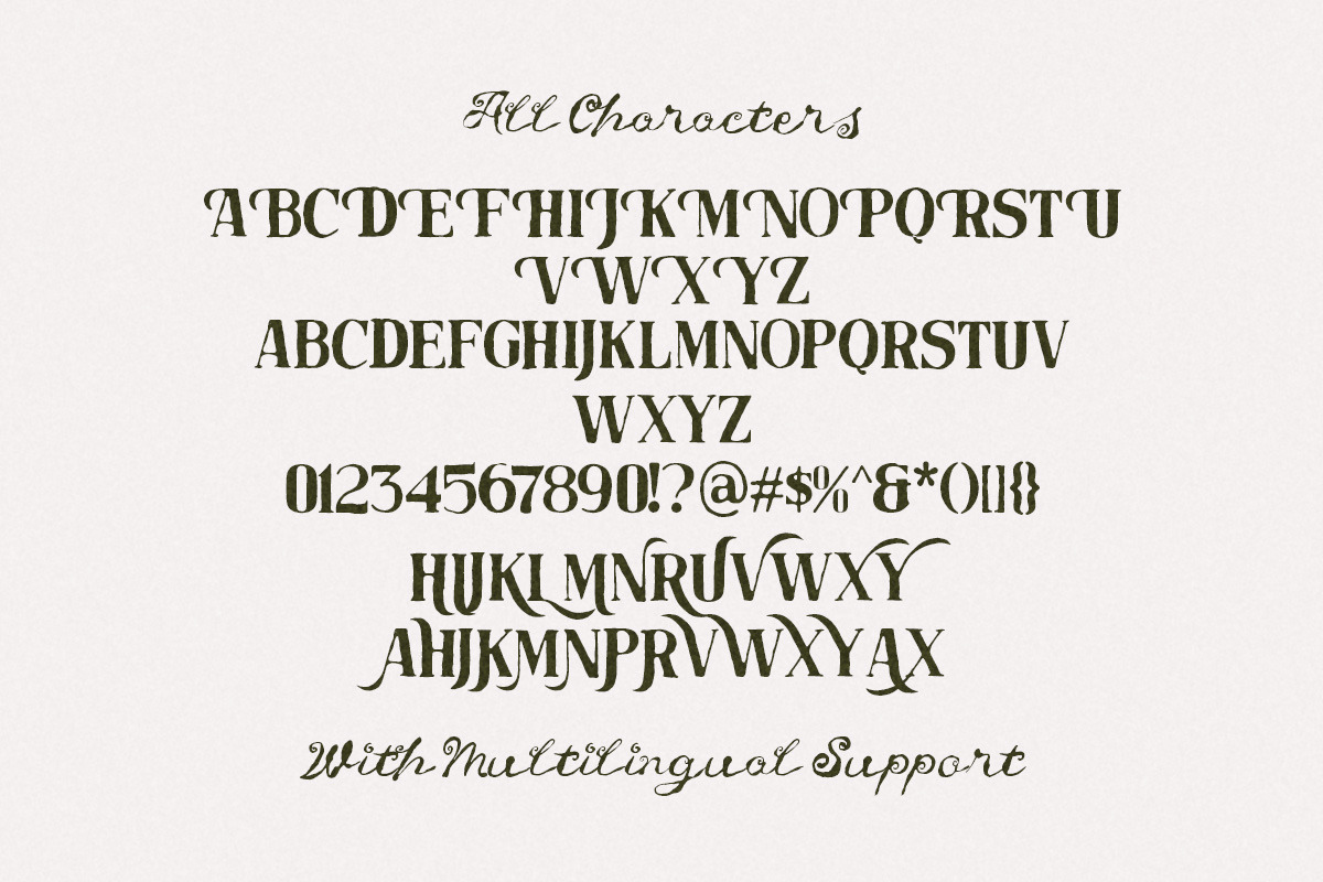 Untold Chapter Rustic Script & Serif, a Script Font by Letterhend Studio (Photo 13 of 14)