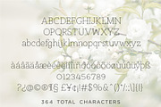 Des Montagnes - multilingual, a Serif Font by INKMETHIS (Thumbnail 2 of 5)