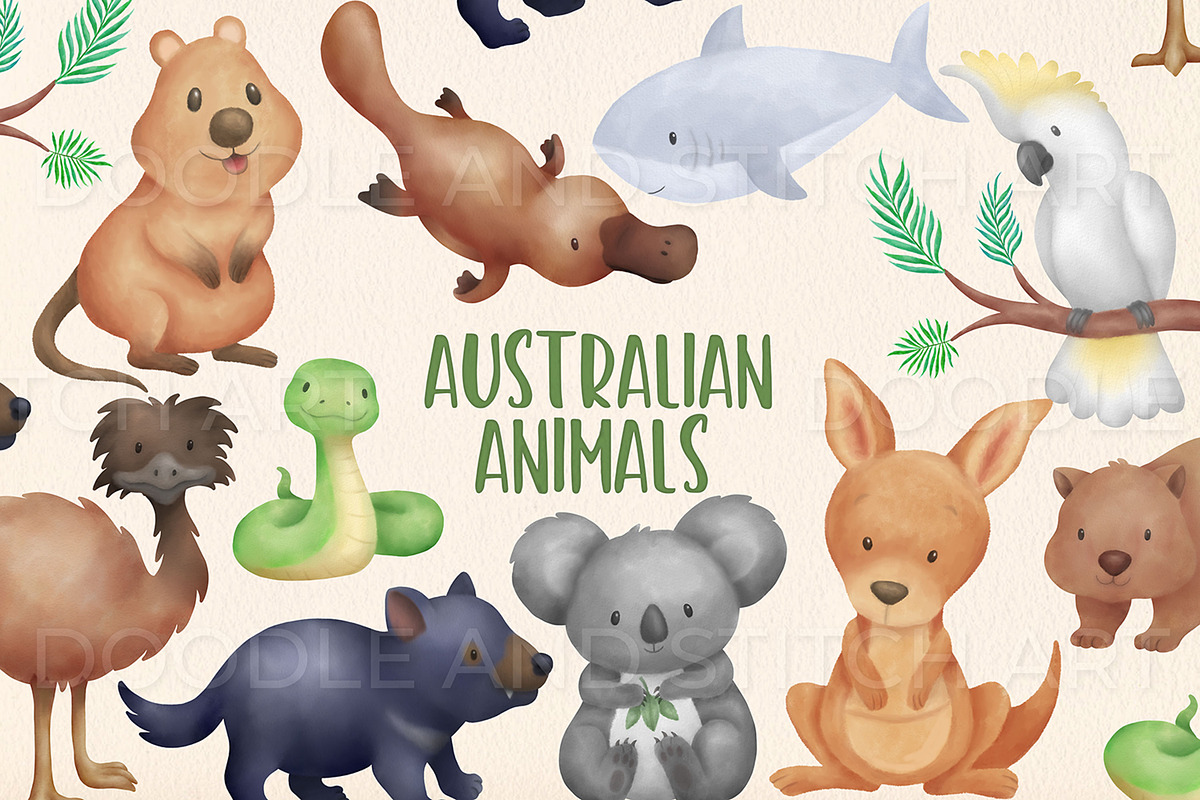 Australian Animals Illustrations, an Animal Illustration by Doodle and Stitch (Photo 1 of 2)