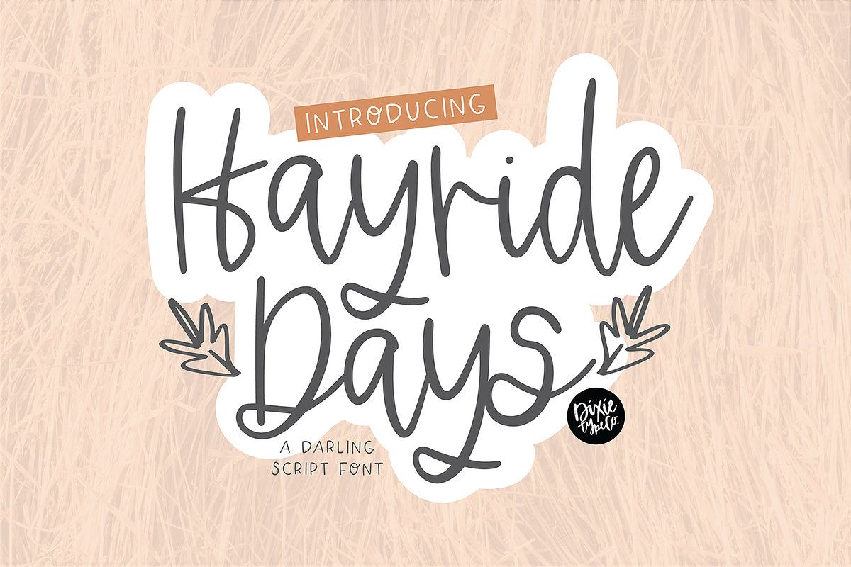 HAYRIDE DAYS Fall Script Font, a Script Font by Blush Font Co. (Photo 1 of 6)