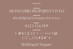 Cafock Molline Elegant Serif Typefac