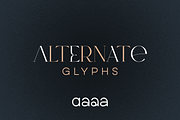 SALE! Type Maestro + Quasar font duo, a Serif Font by VP Fonts (Thumbnail 15 of 18)