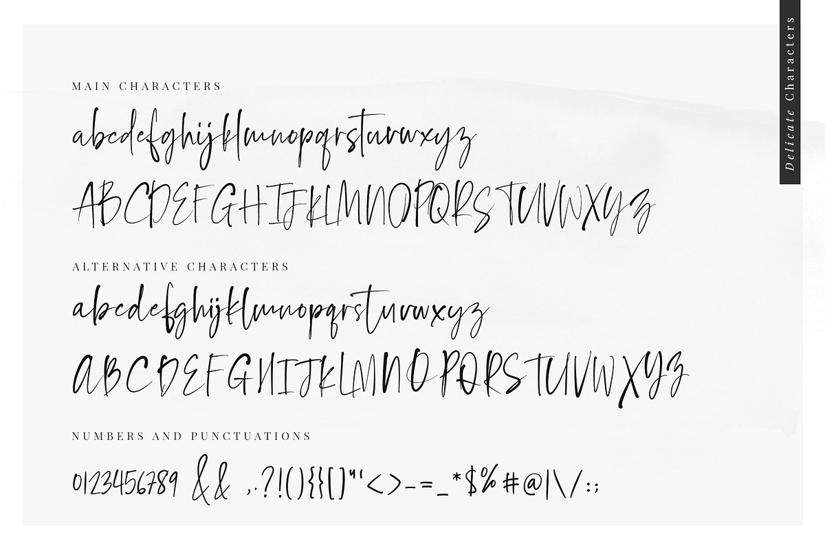 Delicate Script Font, a Script Font by SNIPESCIENTIST