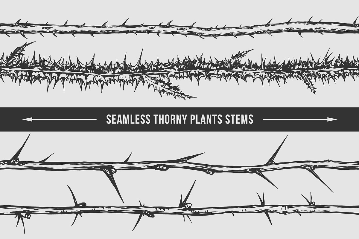 Seamless thorny plants stems., a Pattern Graphic by illusign