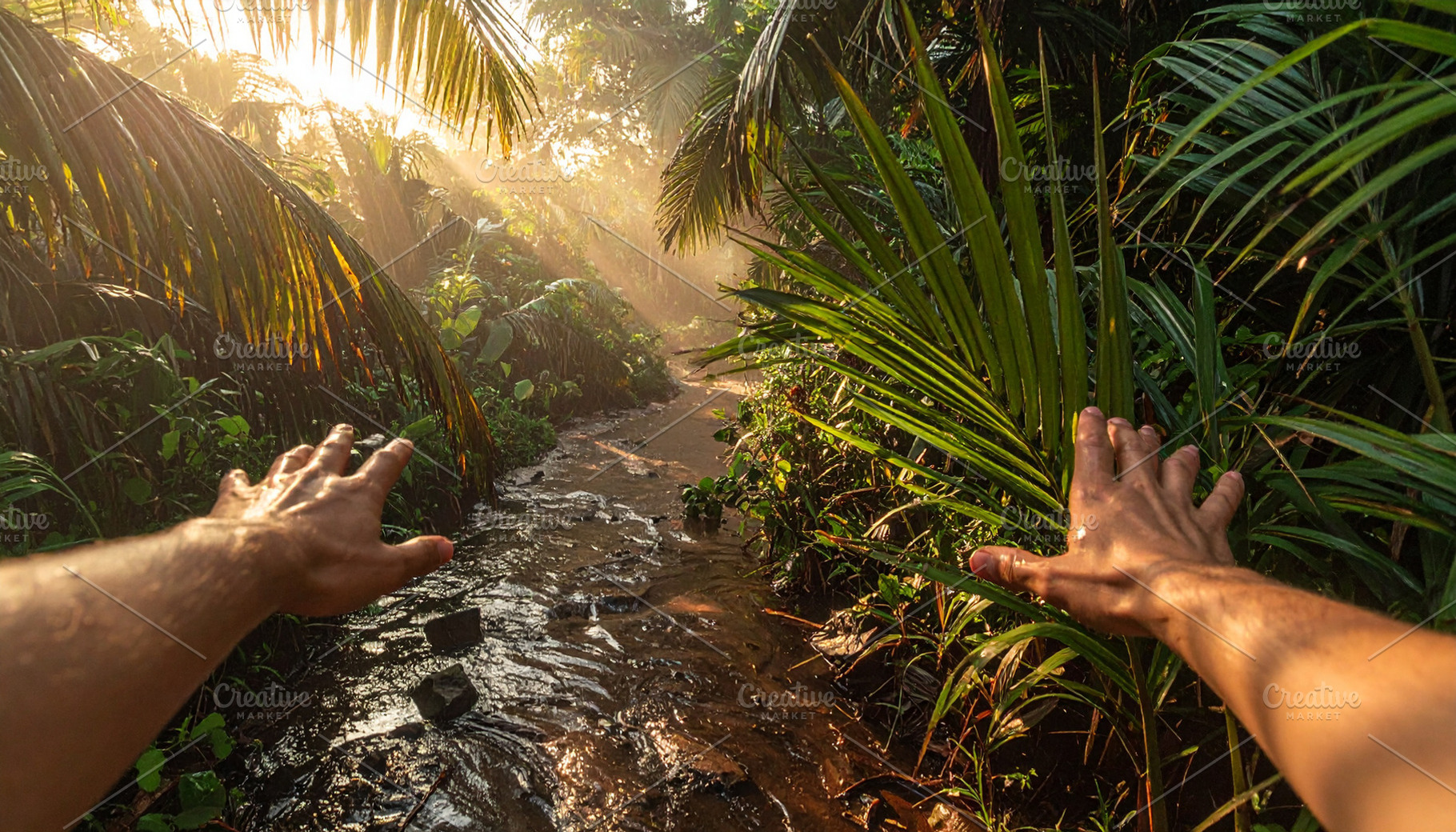 First‑person view of a tropical adventure at highs, an Arts & Entertainment Photo by DanFLCreativo