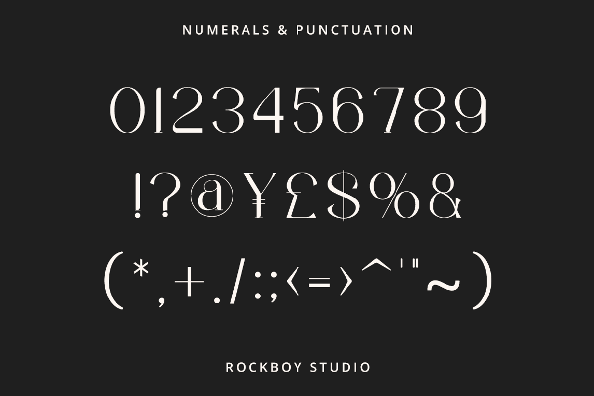 Regranek - Display Serif Font, a Serif Font by RockboyStd (Photo 10 of 12)