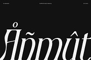 CS Aragon – Modern Serif Font, a Serif Font by Craft Supply Co. (Thumbnail 7 of 8)