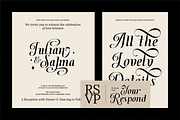 Dh Finola - 7 Elegant Serif Fonts, a Serif Font by Dharmas Foundry (Thumbnail 12 of 14)