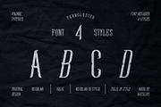 Fernolester - Retro Font, a Serif Font by Maculinc Type (Thumbnail 2 of 12)