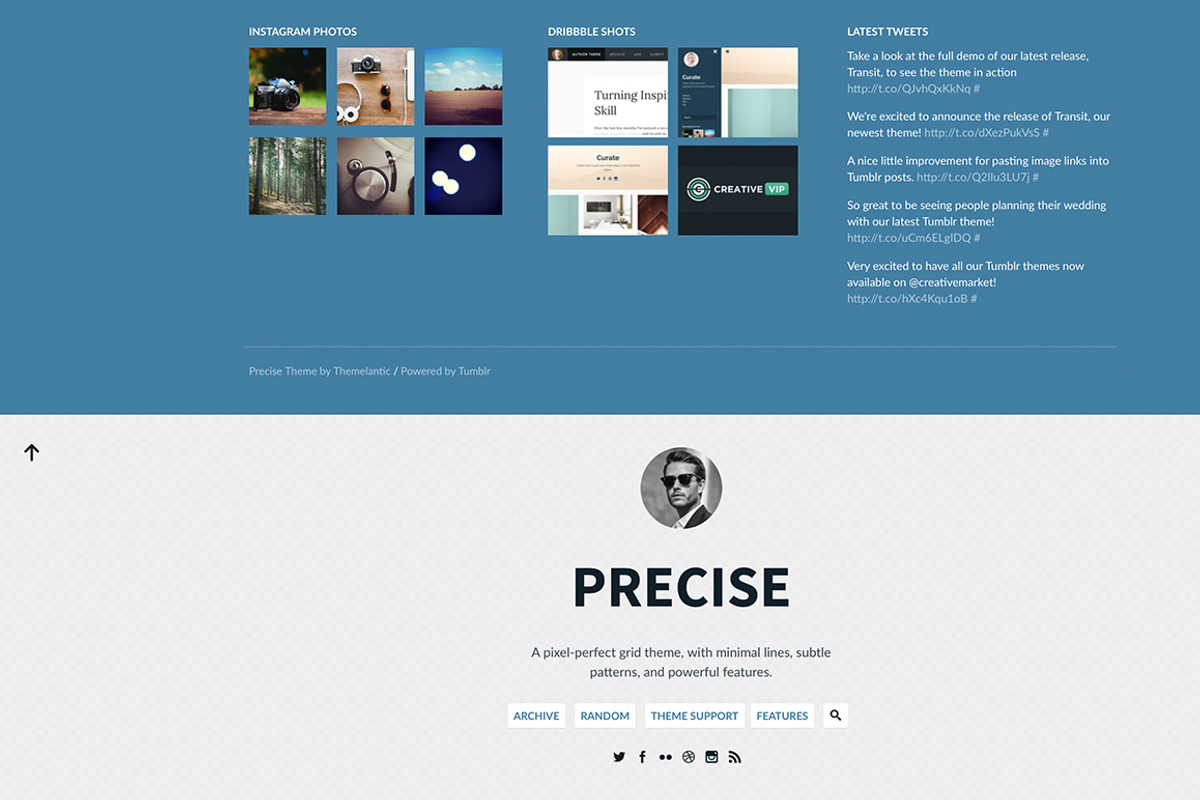 Precise Tumblr Theme, a Websites & App Template by Themelantic (Photo 2 of 5)