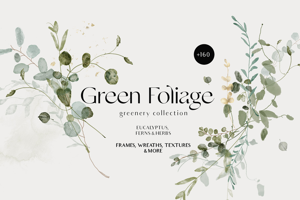 GREEN FOLIAGE - greenery & gold set, a Decorative Illustration by Grace Noboa Illustrations (Photo 1 of 10)