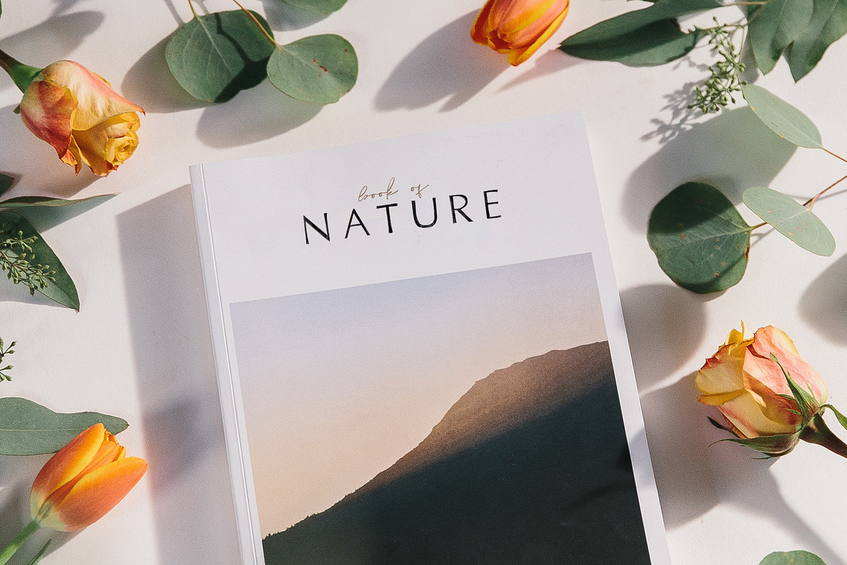 Fine art font duo, a Sans Serif Font by elvinova (Photo 15 of 19)
