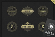 500 ornaments logos & monograms, a Branding & Logo Template by Vasya Kobelev (Thumbnail 28 of 31)