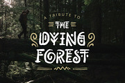 Rimba Andalas, a Font by Arterfak Project (Thumbnail 3 of 11)