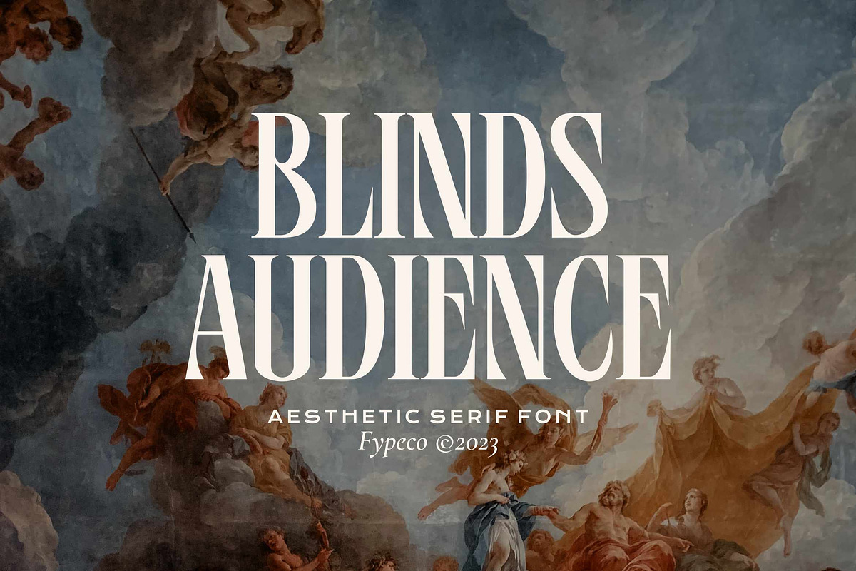 Blinds Audience - Aesthetic Font, a Serif Font by Fype Co. (Photo 1 of 5)