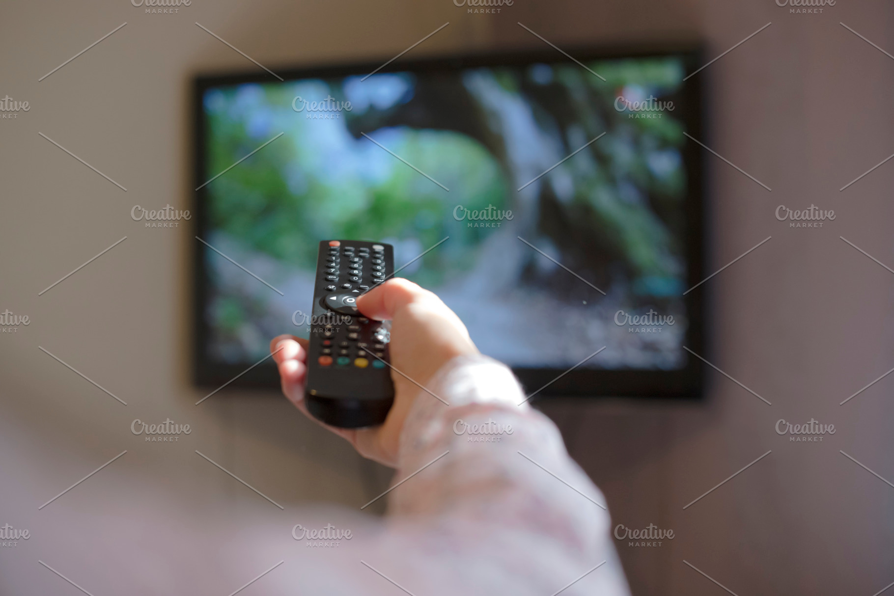 Hand hold figure of horse featuring tv, remote, and control, an Arts & Entertainment Photo by DegImages
