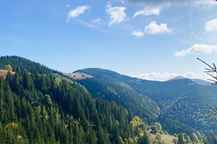 Scenic view of lush green mountains under a vibrant blue sky. Carpathian mounta, a Photo by AS photostudio