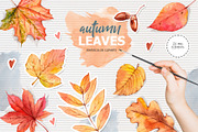 Autumn leaves. Watercolor clipart, an Illustration by VerAna (Thumbnail 1 of 8)