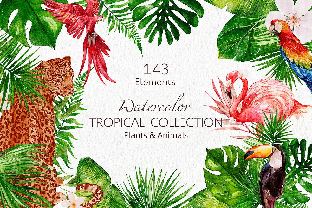 Tropical Collection Watercolor, a Decorative Illustration by Yakovleva Margarita (Photo 1 of 20)