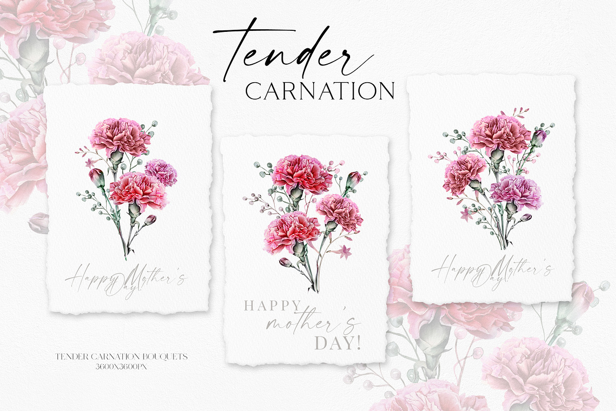 Red Carnation, an Illustration by Olga Koelsch (Photo 3 of 8)