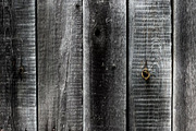 Barn & Farmhouse Wood Textures, a Background Photo by VetalStock (Thumbnail 3 of 10)