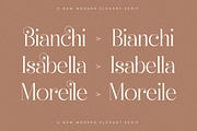 Heyanik New Modern Elegant Serif, a Serif Font by Storytype Studio (Thumbnail 7 of 15)