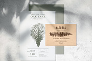 Herbal Design Kit: Vector & PSD, a Templates & Theme by Lumitar (Thumbnail 7 of 8)