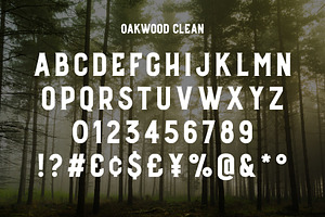 Oakwood - Rustic Font