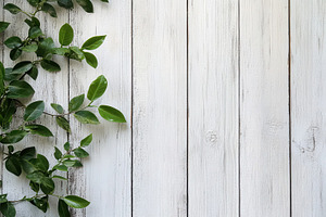 Lush Green Leaves on White Wooden Ba, a Photo by Pixeness Studio