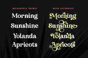 Delightful Napkin Modern Serif Font, a Serif Font by Airotype (Thumbnail 2 of 15)