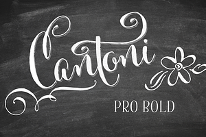 Cantoni Pro Bold Font