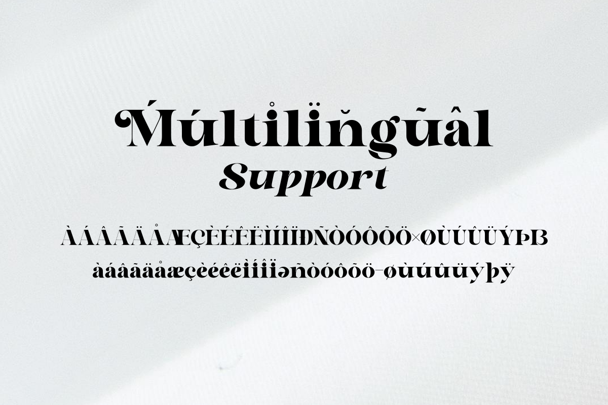 Astelin, a Serif Font by zaaintype (Photo 13 of 15)