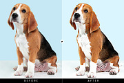 Caricartoon Me Photoshop Action, an Action Add-On by ridvanpars (Thumbnail 9 of 11)