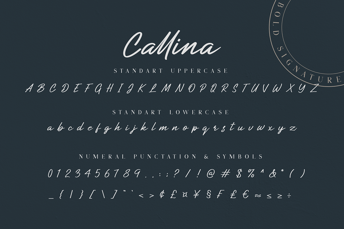 Callina // Bold Signature preview 6