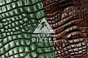 16 Luxury Crocodile Leather Textures, a Pattern Graphic by NorthWindPixels (Thumbnail 4 of 4)