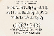 Brittany Signature, a Handwritten Font by FreshTypeINK (Thumbnail 6 of 8)