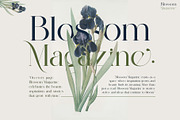 Malcine Modern Serif Typeface, a Serif Font by Alfinart (Thumbnail 4 of 10)