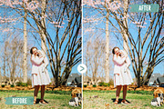 Dreamy Pastel | LUTs Pack, a Preset Add-On by itefan Studio (Thumbnail 3 of 5)