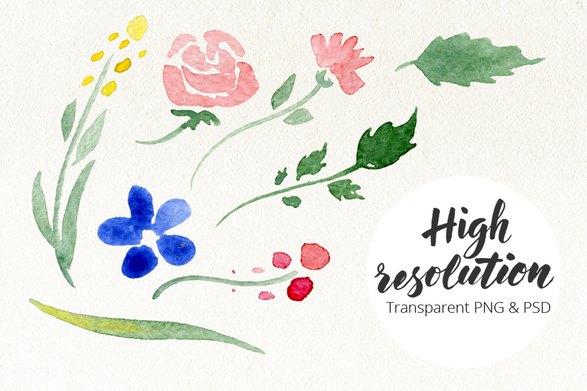 DIY Watercolor flowers. 190 elements, a Decorative Illustration by Olga Proz (Photo 3 of 5)