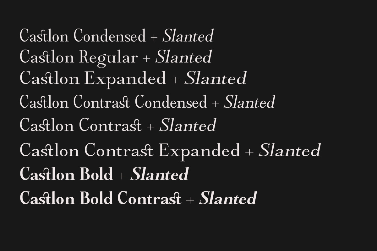 Castlon | 16 Fonts, a Serif Font by Skinny Type (Photo 5 of 10)