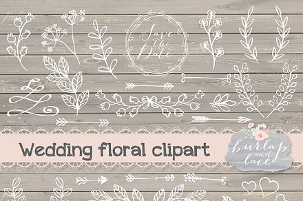 Vector floral clip arts