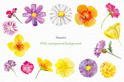 Wild flowers watercolor set, a Background Graphic by Elegantia (Thumbnail 2 of 15)