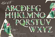Modern Plants Design Kit, an Object Graphic by JSquarePresents (Thumbnail 4 of 18)