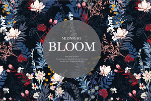 Midnight Bloom